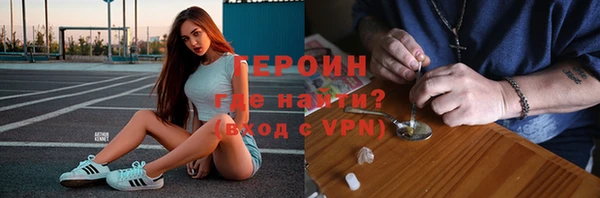 сатива Беломорск