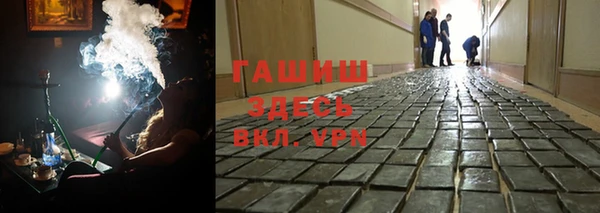 сатива Беломорск