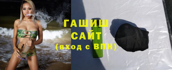 сатива Беломорск