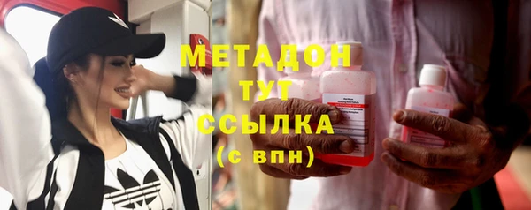 сатива Беломорск