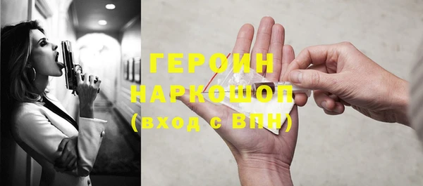 сатива Беломорск