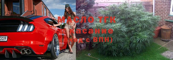 сатива Беломорск