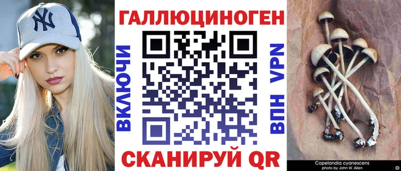 закладки  Белоусово  Псилоцибиновые грибы MAGIC MUSHROOMS 